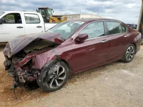 267-51229 Honda Rear View Mirror With Automatic Dimming Fits 14-18 Ilx 4264365