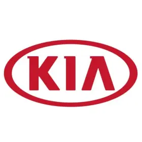 96030-r0510 Kia Genuine Interior Rear View Mirror Cover