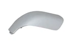 Genuine Ford CK4Z-4273-AD Rear Right Interior Grab Bar Cap CK4Z4273AD New. Price: $24.10.