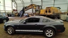 Mustang 2007 Rear View Mirror 7106789 Used. Price: $72.11.